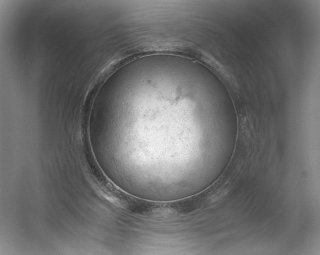 X0000053090203200507251613