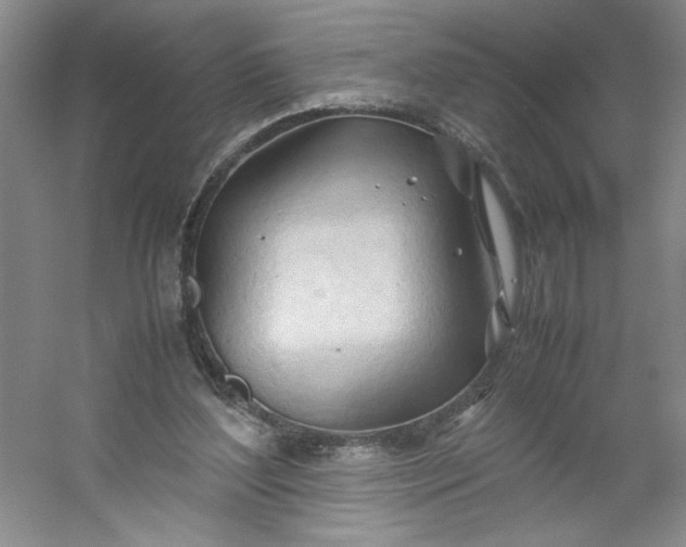 X0000053090204200507251613