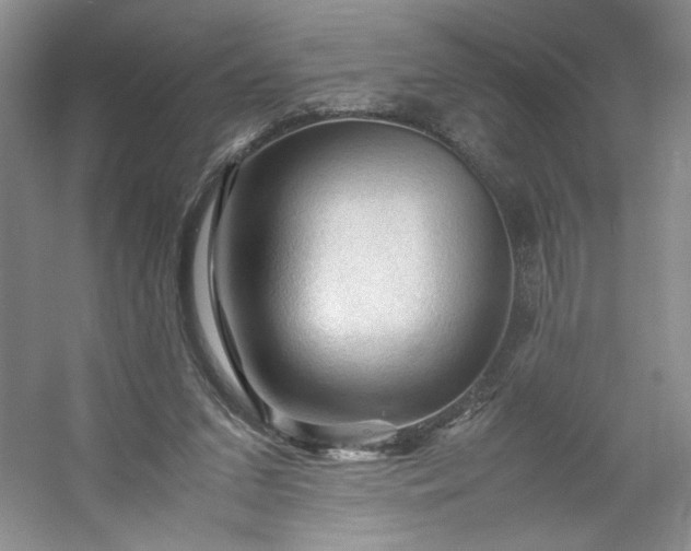 X0000053090207200507251613