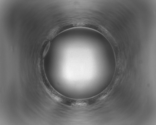 X0000053090209200507251613