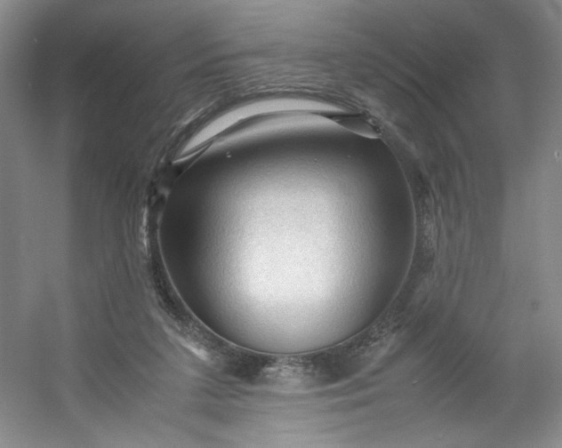 X0000053090211200507251613