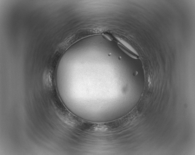 X0000053090214200507251613