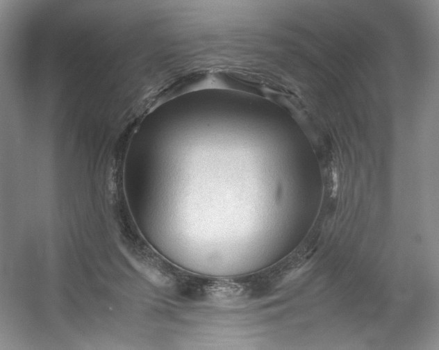 X0000053090215200507251613