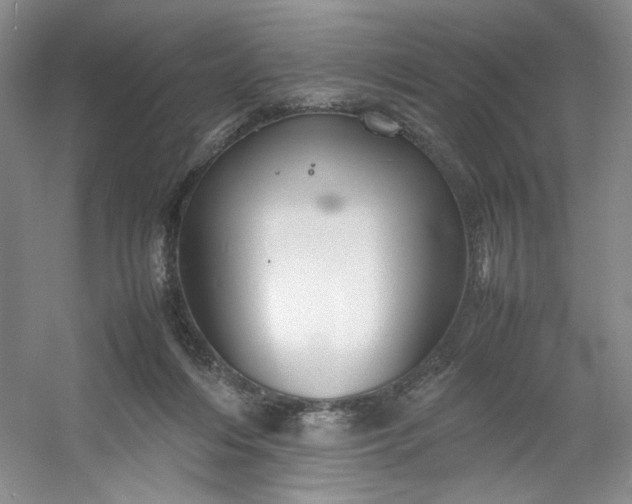 X0000053090216200507251613