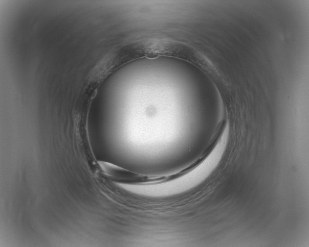 X0000053090217200507251613