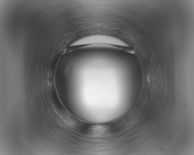 X0000053090218200507251613