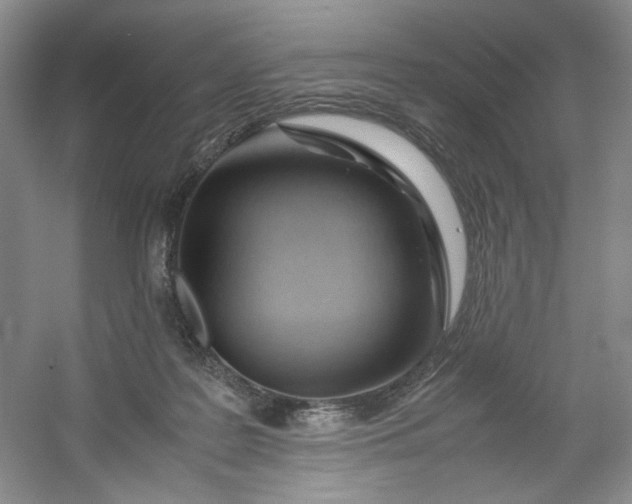 X0000053090219200507251613