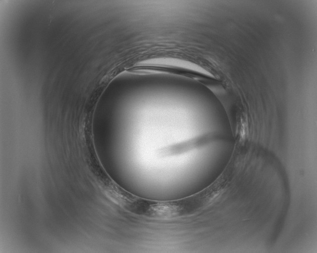 X0000053090221200507251613