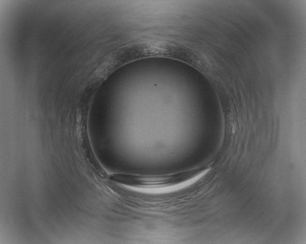 X0000053090223200507251613