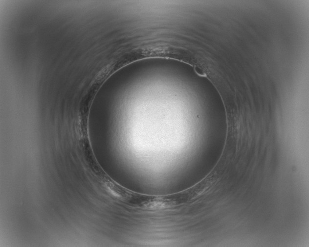 X0000053090224200507251613