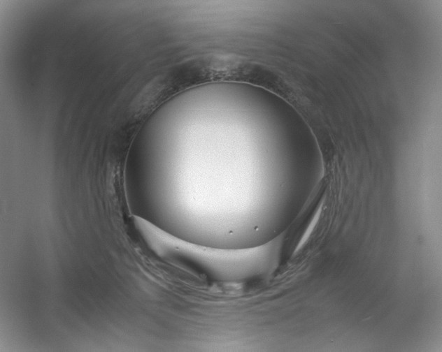 X0000053090225200507251613