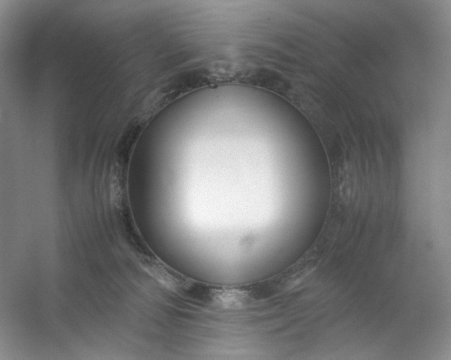 X0000053090226200507251613