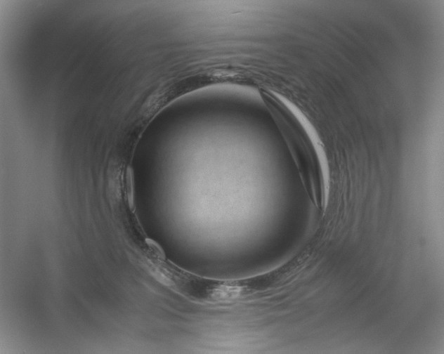 X0000053090227200507251613