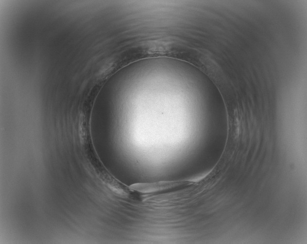 X0000053090228200507251613