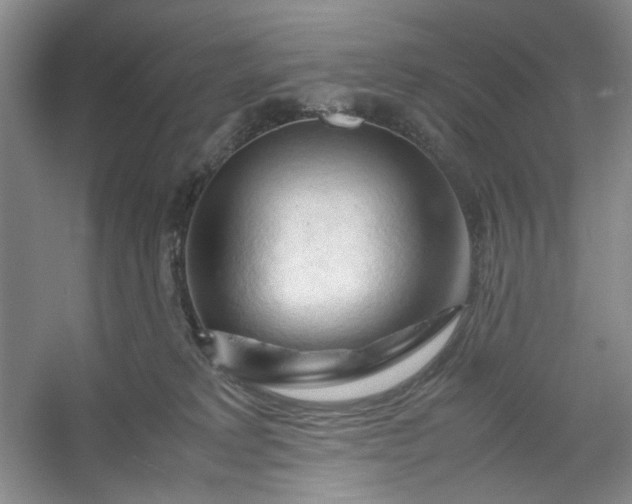 X0000053090229200507251613