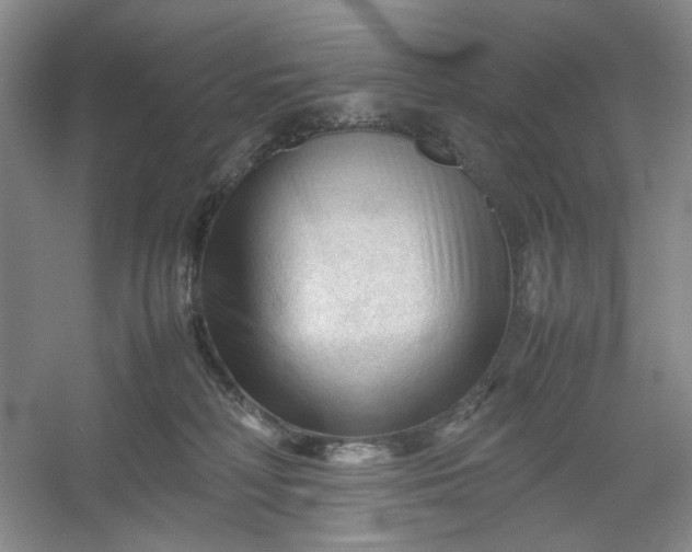 X0000053090230200507251613