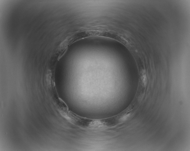 X0000053090231200507251613