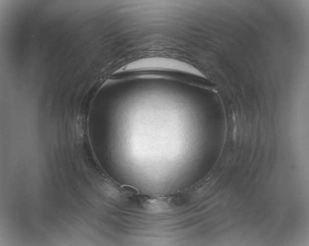 X0000053090232200507251613