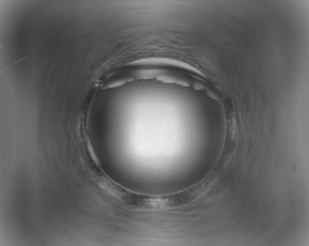 X0000053090233200507251613