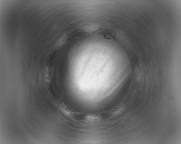 X0000053090234200507251613