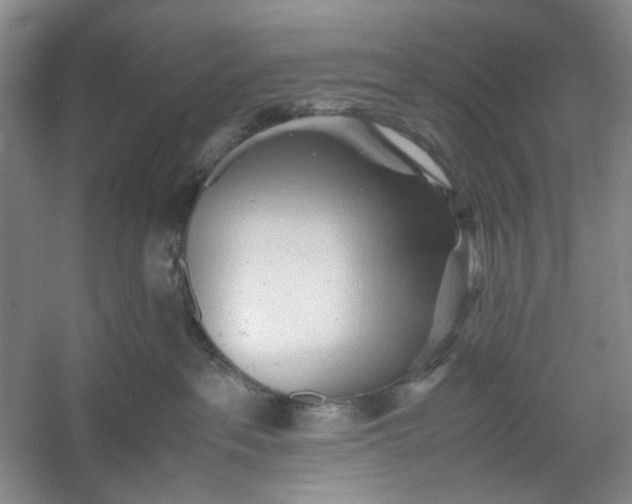 X0000053090237200507251613