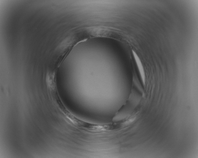 X0000053090239200507251613