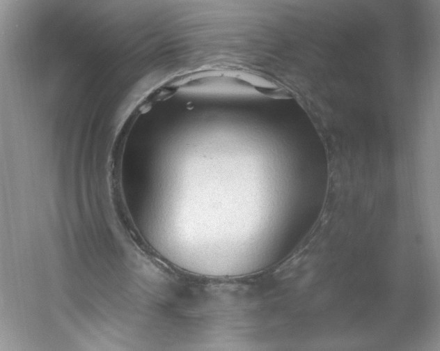 X0000053090242200507251612