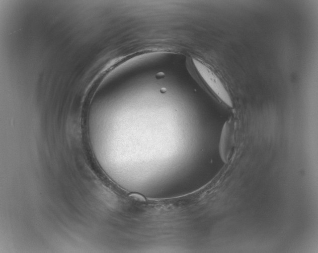 X0000053090243200507251612