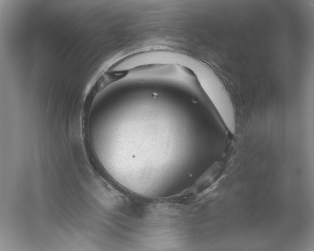 X0000053090244200507251612