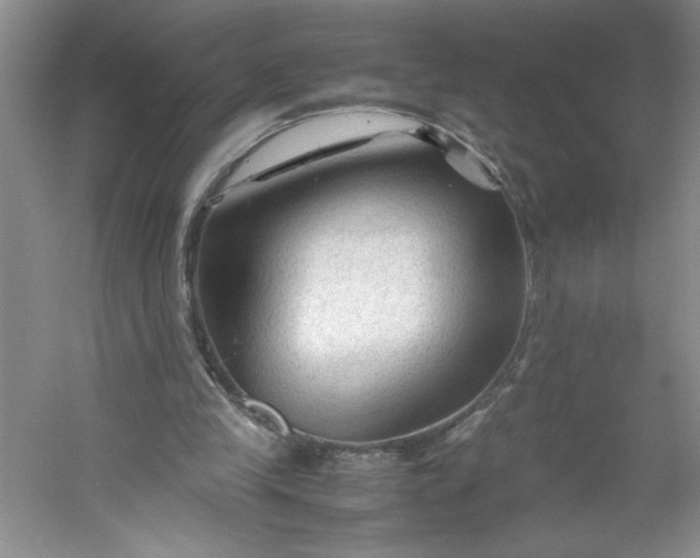 X0000053090245200507251612