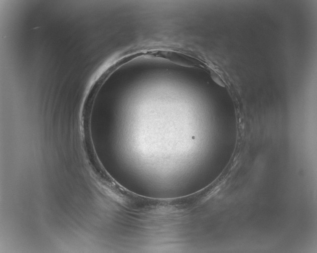 X0000053090246200507251612