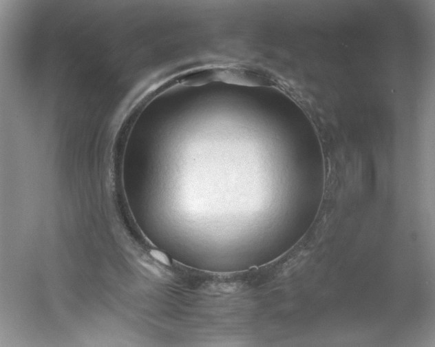 X0000053090247200507251612