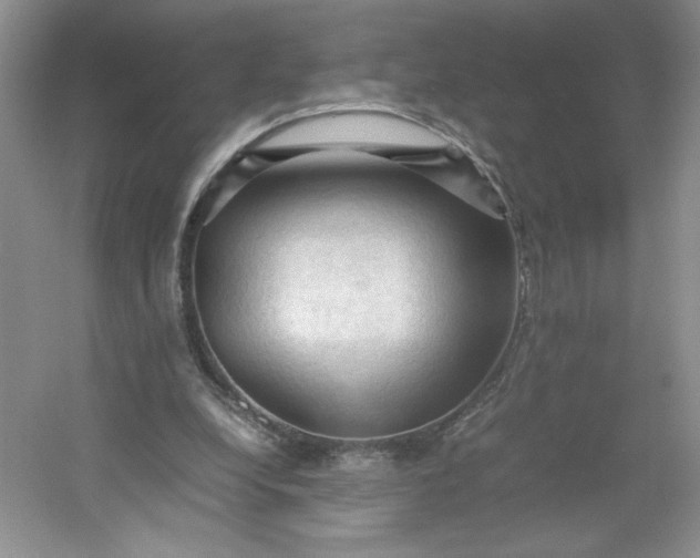 X0000053090248200507251612