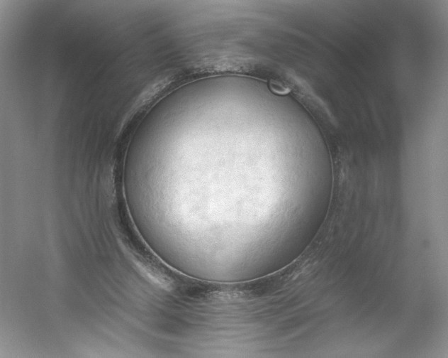 X0000053090250200507251612