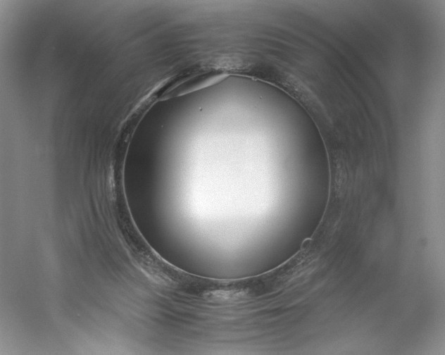 X0000053090251200507251612