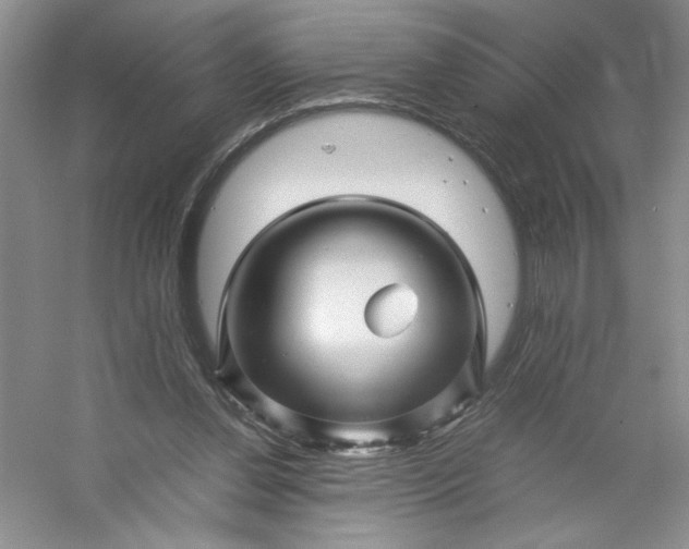 X0000053090252200507251612