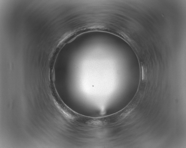 X0000053090253200507251612