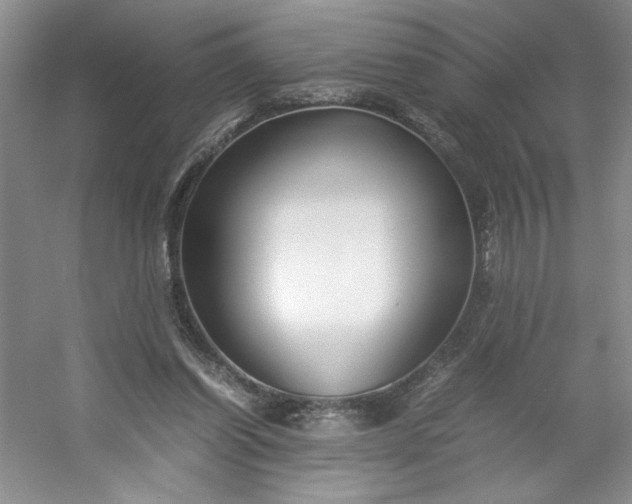 X0000053090254200507251612