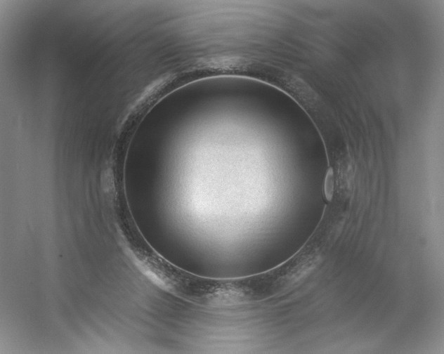 X0000053090256200507251612