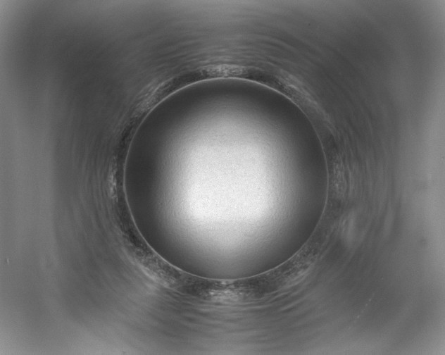 X0000053090259200507251612