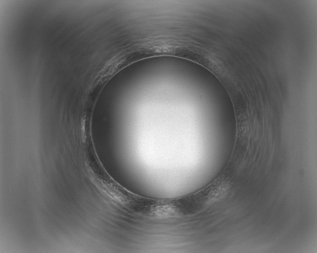 X0000053090262200507251612