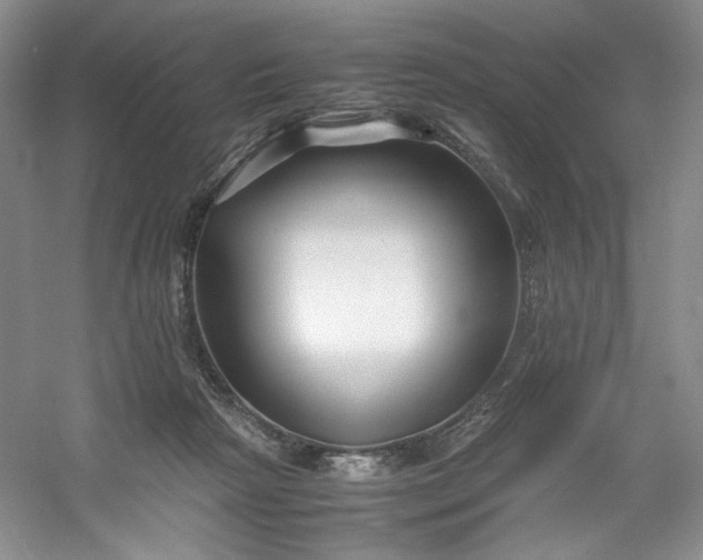 X0000053090265200507251612