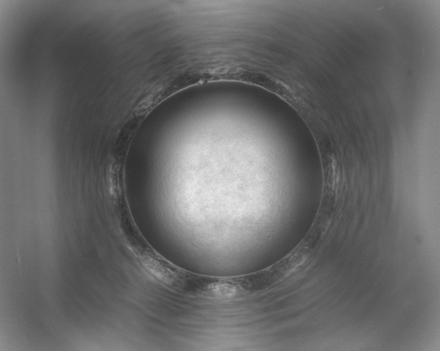 X0000053090272200507251612