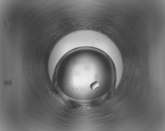 X0000053090276200507251612