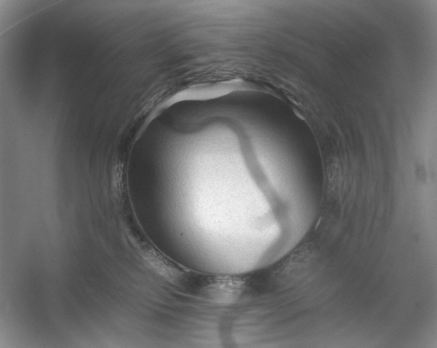 X0000053090278200507251612