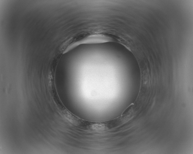 X0000053090279200507251612