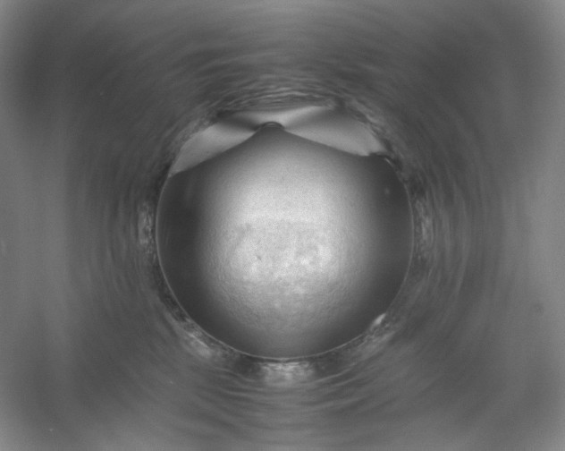 X0000053090281200507251613