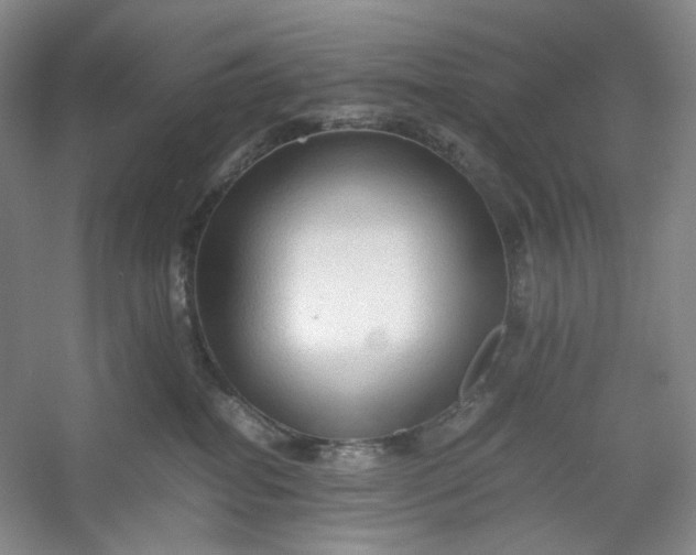 X0000053090282200507251613