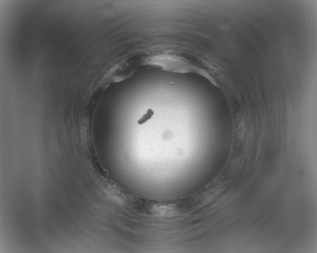 X0000053090283200507251613