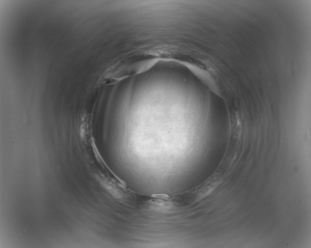 X0000053090284200507251613